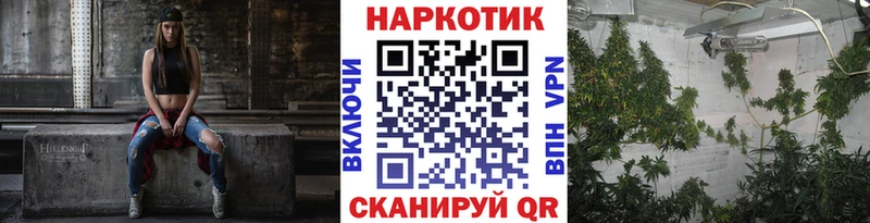 Где купить наркотики Сосновоборск Кокаин  Марихуана  Псилоцибиновые грибы  Гашиш  МЕФ  Альфа ПВП 