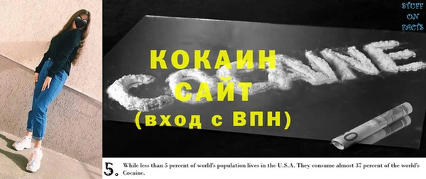 индика Кукмор