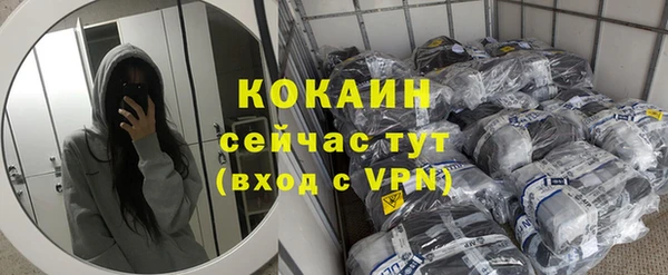 соль ск Кулебаки