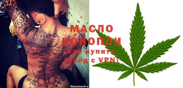 индика Кукмор