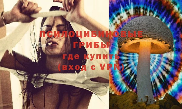 индика Кукмор