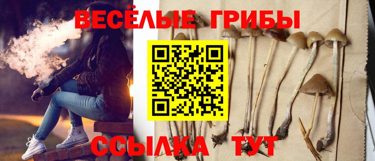 Галлюциногенные грибы Cubensis Сосновоборск