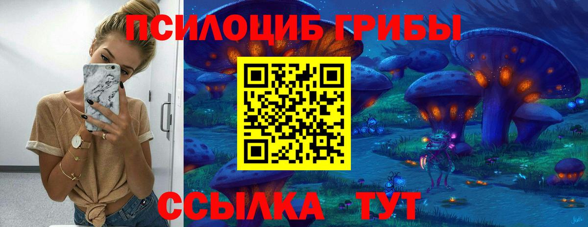 Галлюциногенные грибы Cubensis  Вход с VPN  наркошоп  Сосновоборск 
